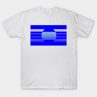 United countries of Earth flag T-Shirt